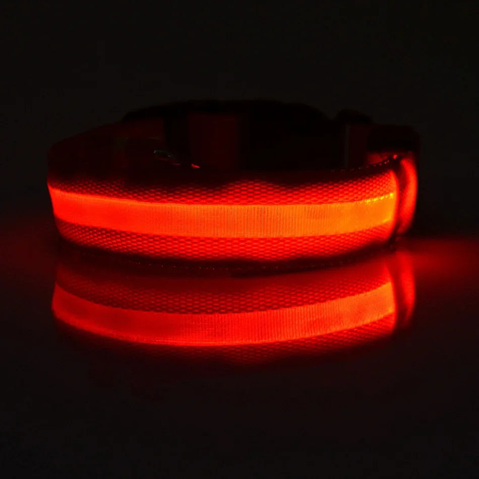 LED Dog Leash - Glow in the Dark Safety Reflective Night Leash for Safe Walks