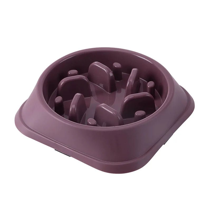 Slow Feeder Dog & Cat Bowl – Anti - Choking Non - Slip Healthy Feeding Bowl - Mivyoo