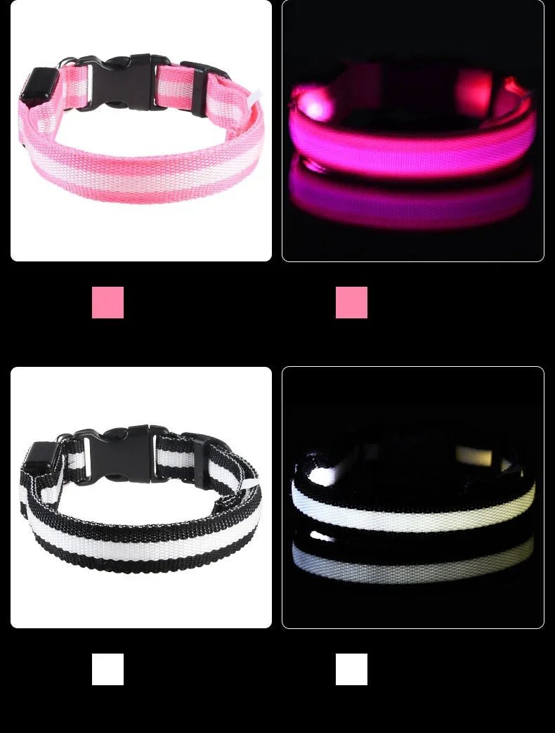 LED Dog Leash – Glow in the Dark Night Safety Reflective Leash for Dogs - Mivyoo