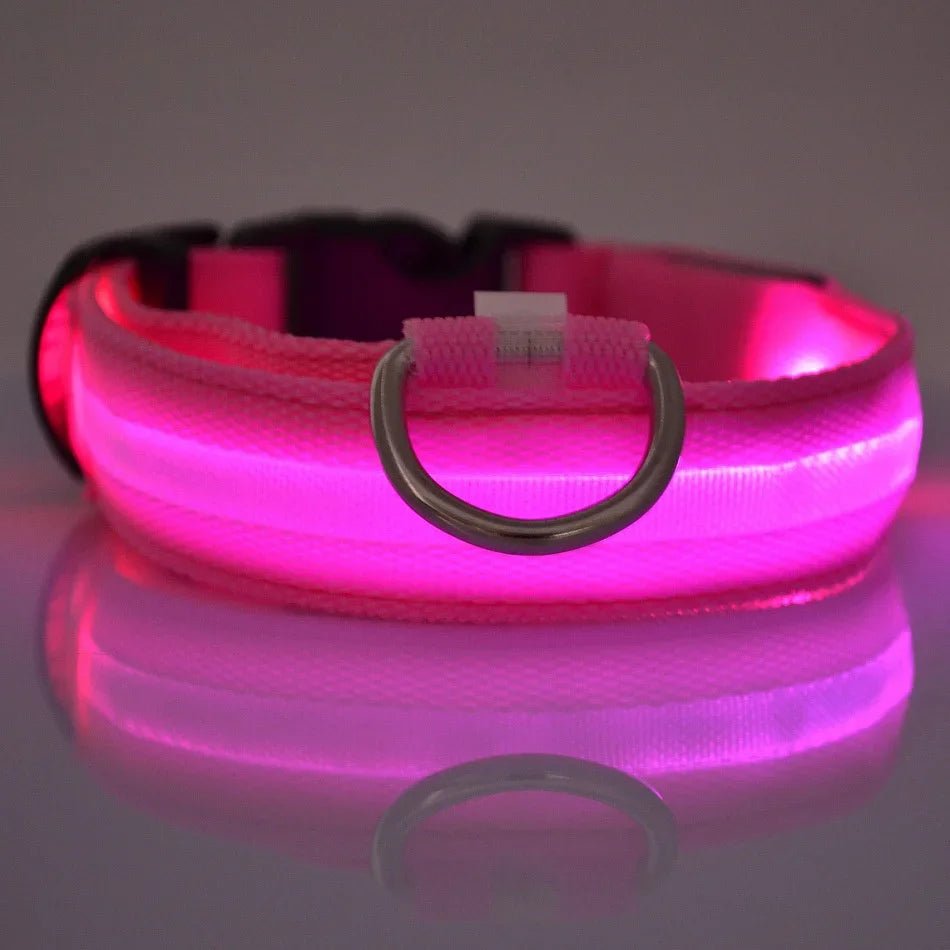 LED Dog Leash – Glow in the Dark Night Safety Reflective Leash for Dogs - Mivyoo
