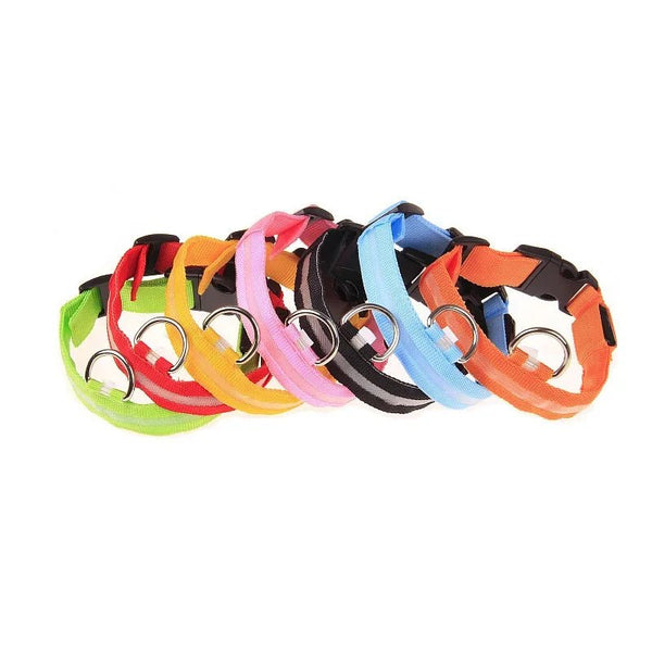 LED Dog Leash – Glow in the Dark Night Safety Reflective Leash for Dogs - Mivyoo