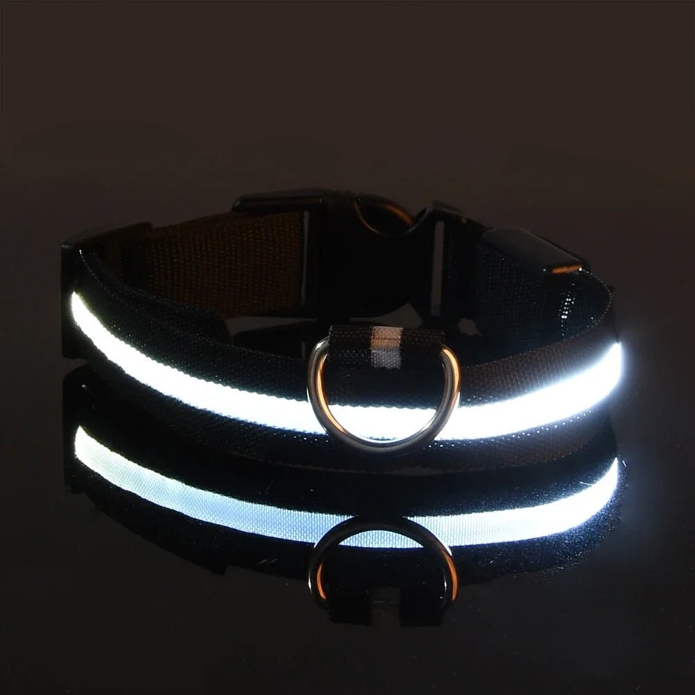 LED Dog Leash – Glow in the Dark Night Safety Reflective Leash for Dogs - Mivyoo