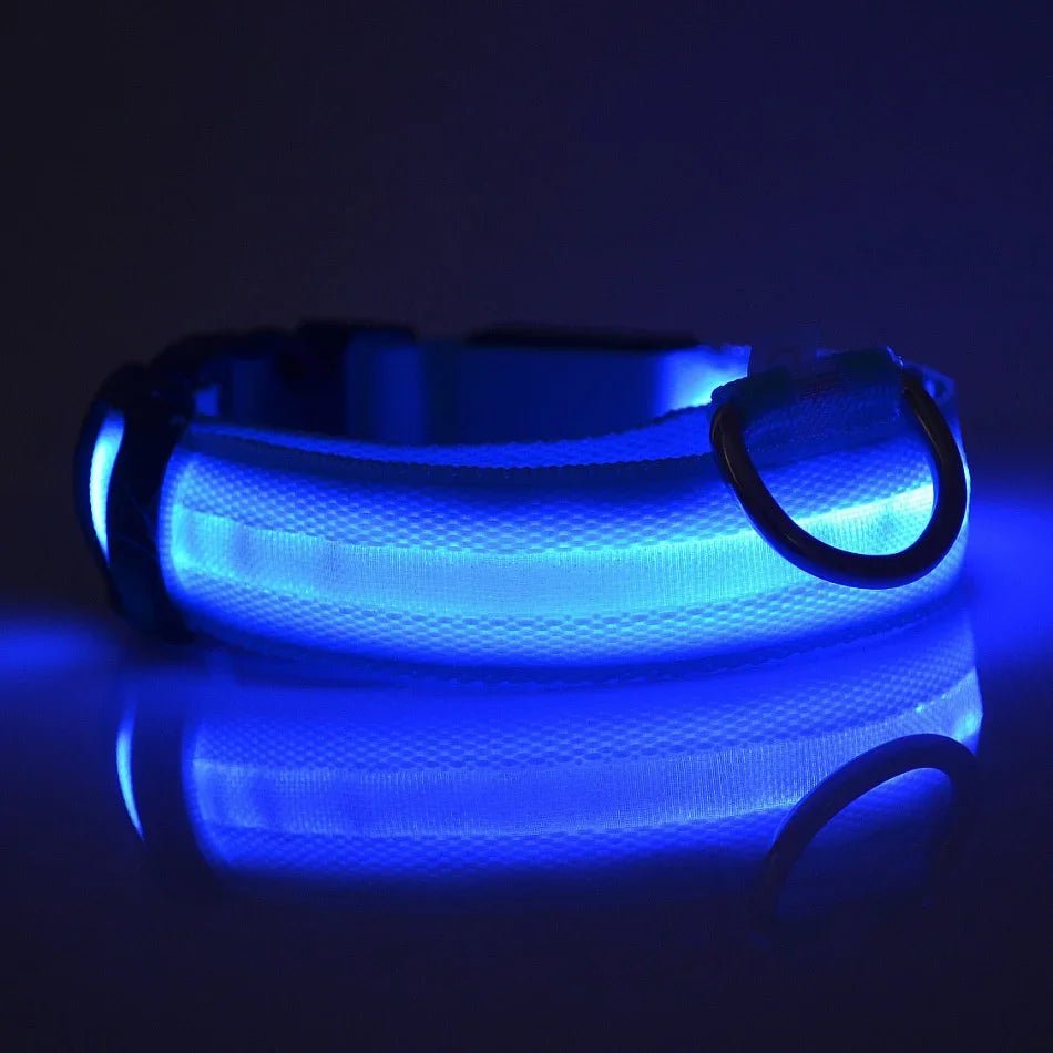 LED Dog Leash – Glow in the Dark Night Safety Reflective Leash for Dogs - Mivyoo