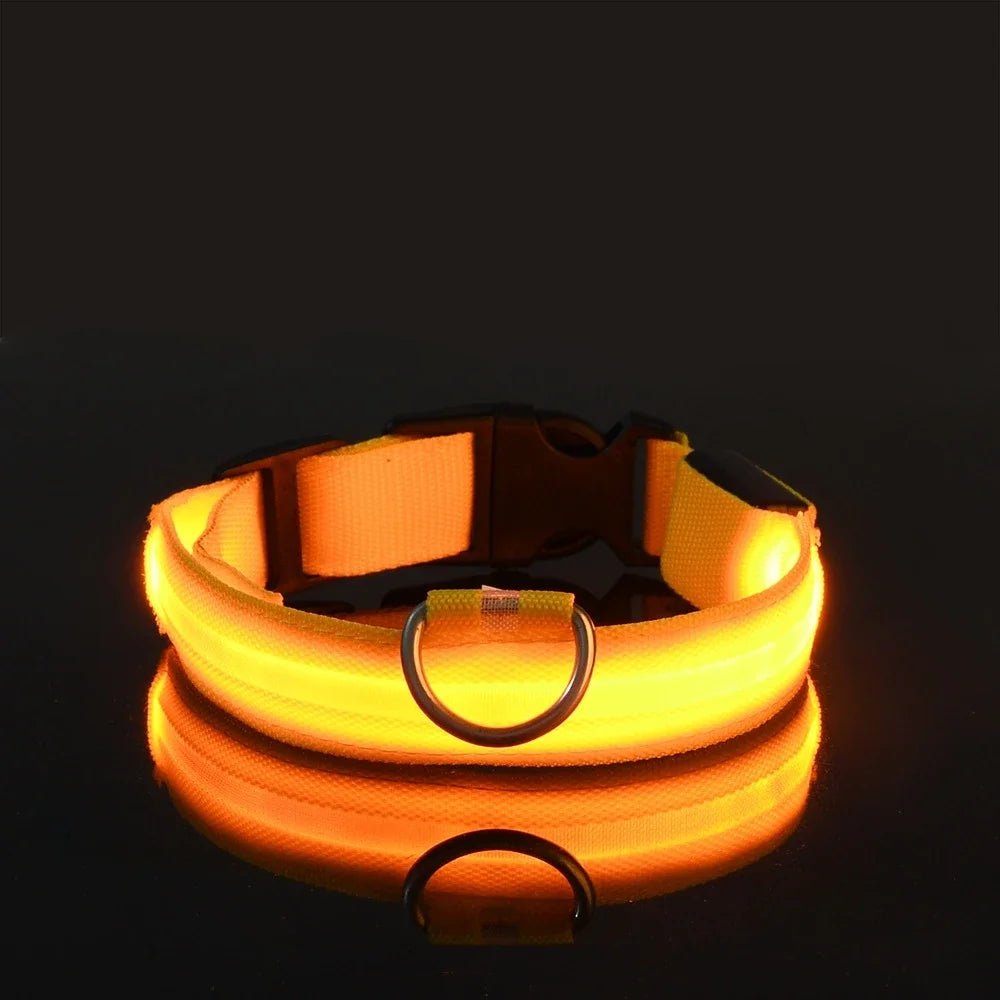 LED Dog Leash – Glow in the Dark Night Safety Reflective Leash for Dogs - Mivyoo