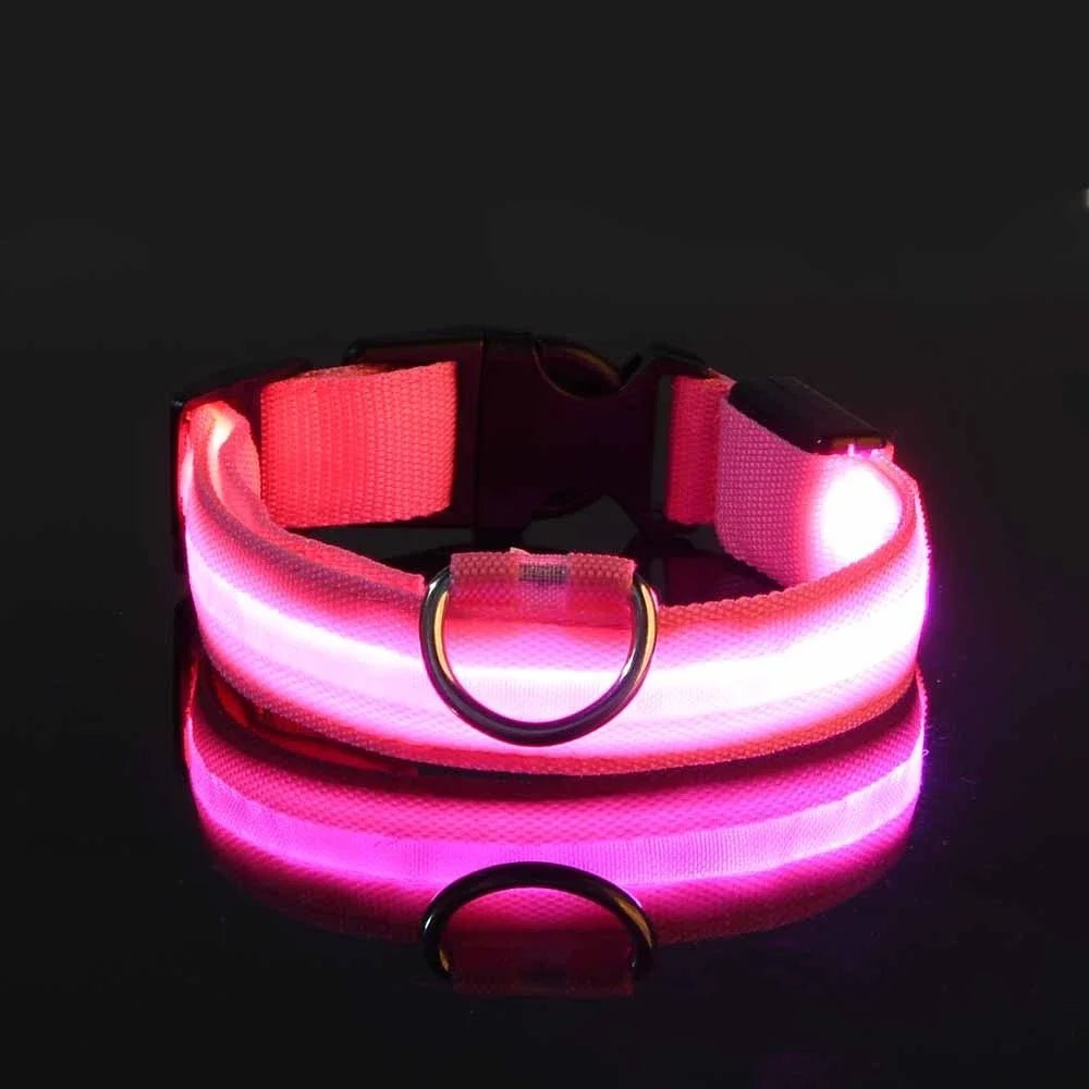 LED Dog Leash – Glow in the Dark Night Safety Reflective Leash for Dogs - Mivyoo