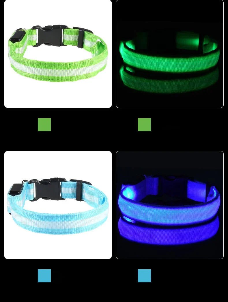 LED Dog Leash – Glow in the Dark Night Safety Reflective Leash for Dogs - Mivyoo