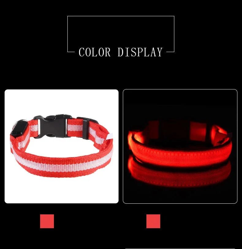 LED Dog Leash – Glow in the Dark Night Safety Reflective Leash for Dogs - Mivyoo