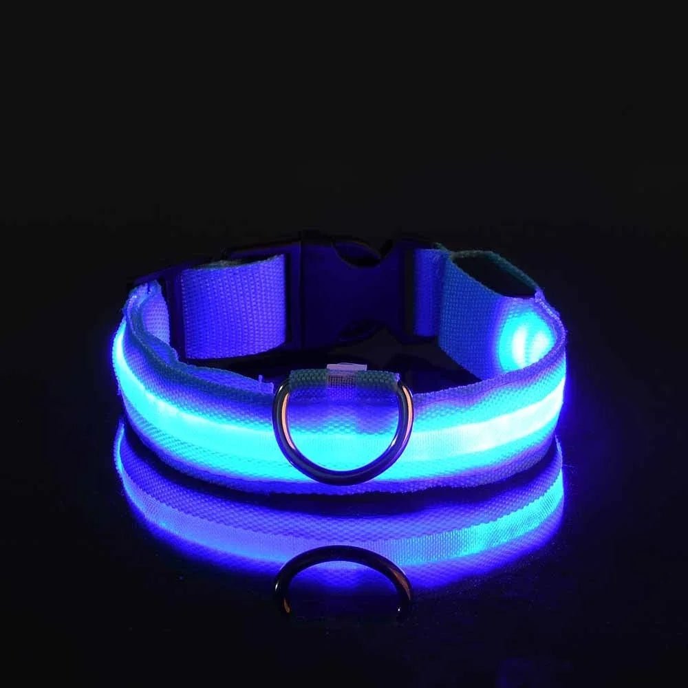 LED Dog Leash – Glow in the Dark Night Safety Reflective Leash for Dogs - Mivyoo