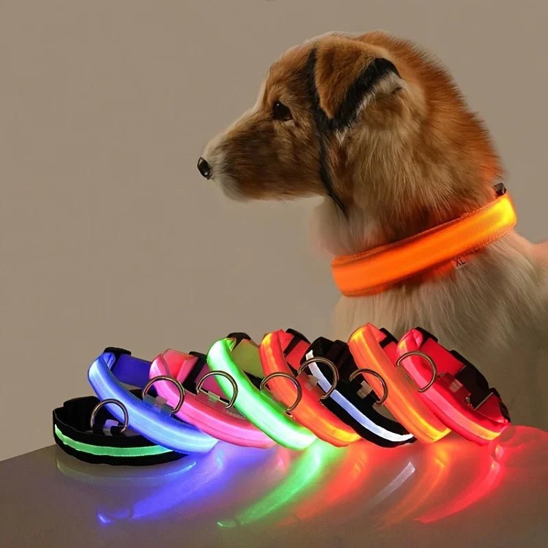 LED Dog Leash – Glow in the Dark Night Safety Reflective Leash for Dogs - Mivyoo