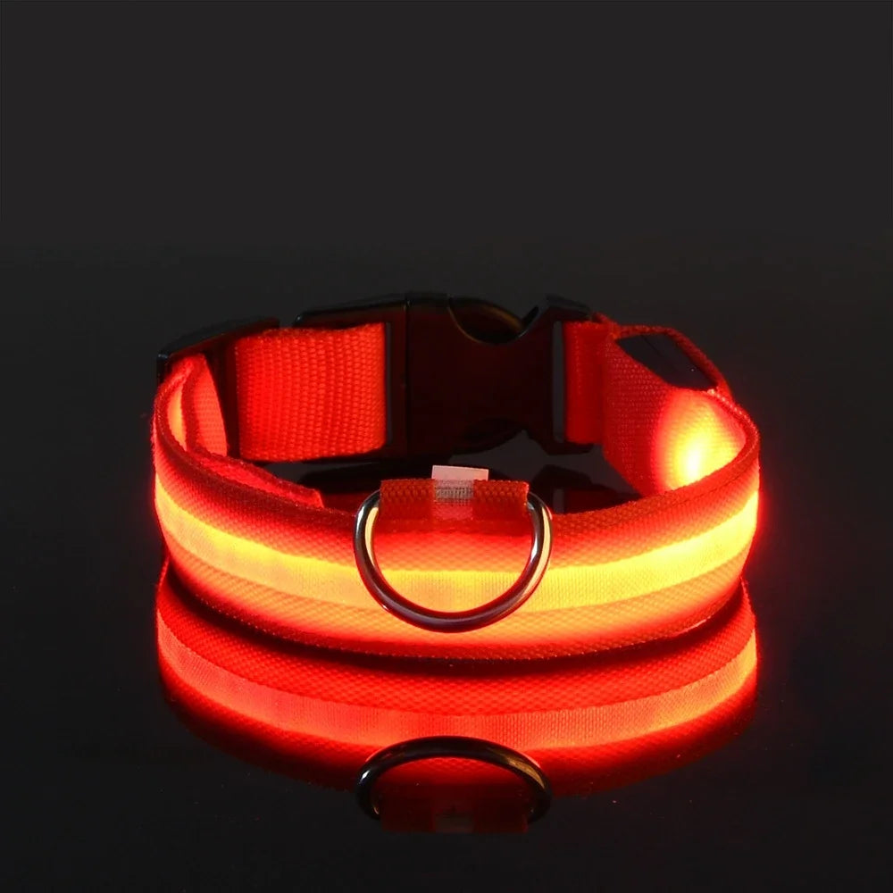 LED Dog Leash - Glow in the Dark Safety Reflective Night Leash for Safe Walks