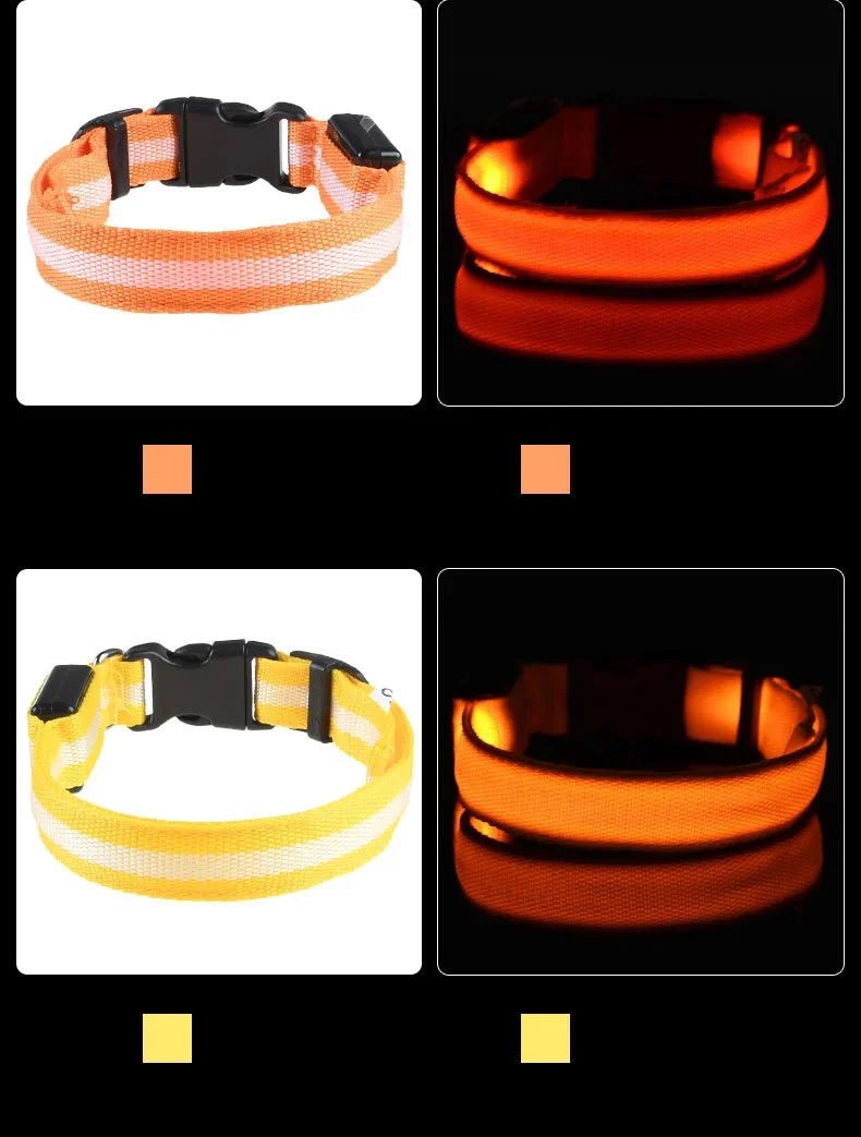LED Dog Leash – Glow in the Dark Night Safety Reflective Leash for Dogs - Mivyoo