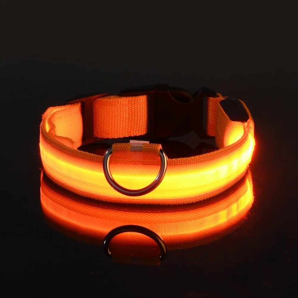 LED Dog Leash – Glow in the Dark Night Safety Reflective Leash for Dogs - Mivyoo