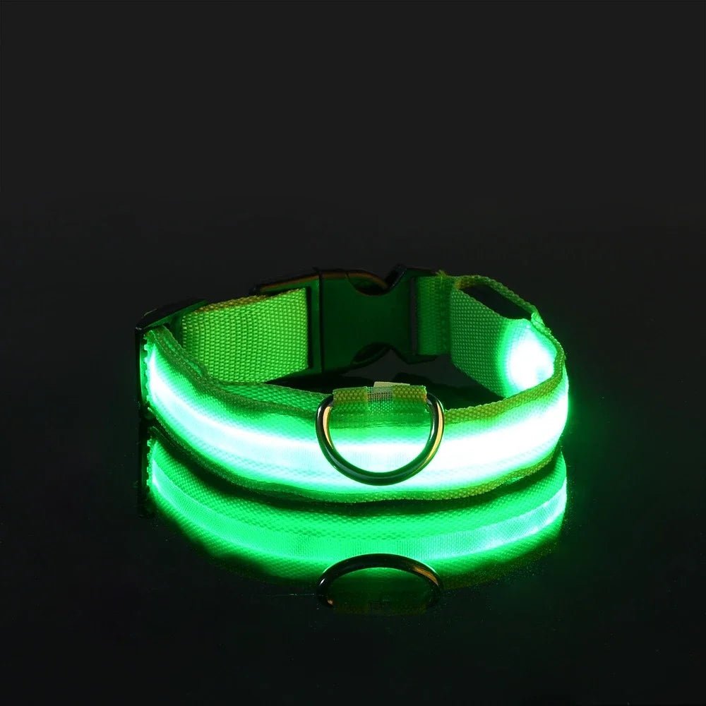 LED Dog Leash – Glow in the Dark Night Safety Reflective Leash for Dogs - Mivyoo